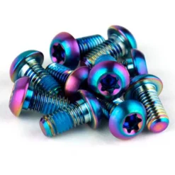 SRAM Rotor Bolt Titanium T25 12 Units